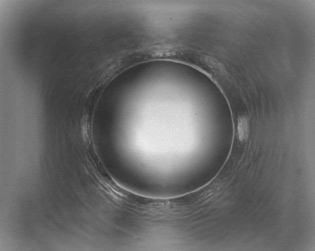 X0000073401444200608040915