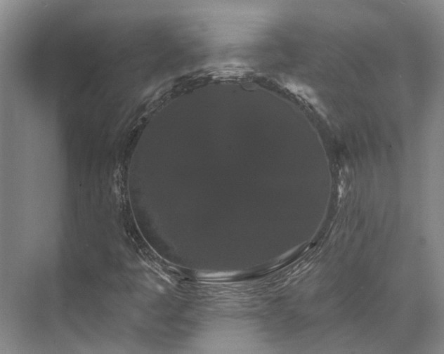 X0000073401445200608040915