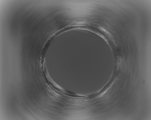 X0000073401449200608040915
