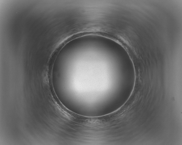 X0000073401452200608040914
