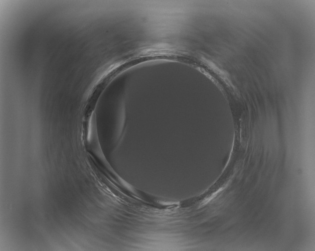 X0000073401453200608040914