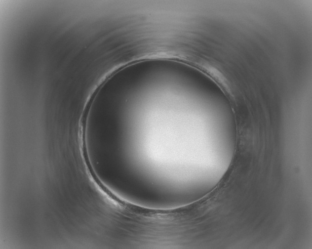 X0000073401476200608040914