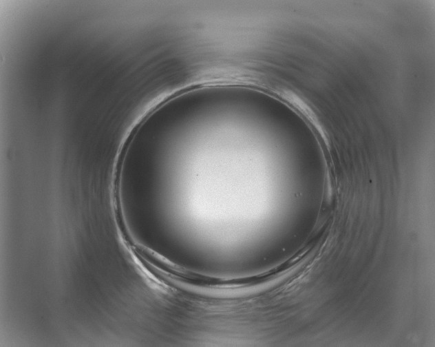X0000073401485200608040914