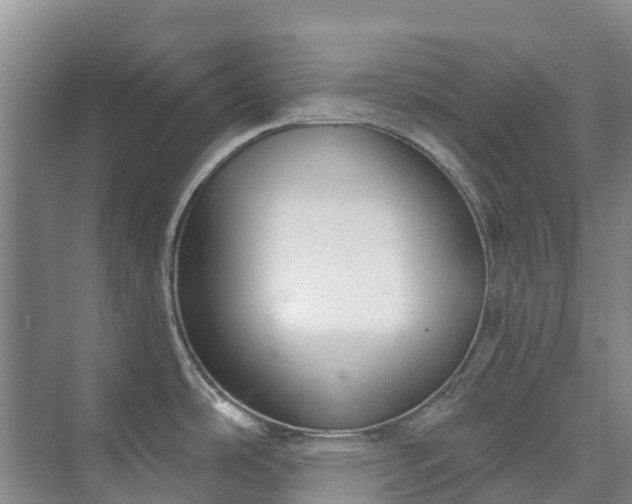 X0000073401486200608040914
