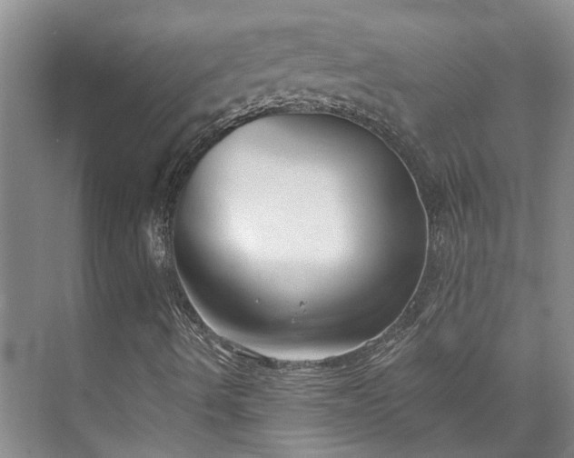 X0000073401490200608040913