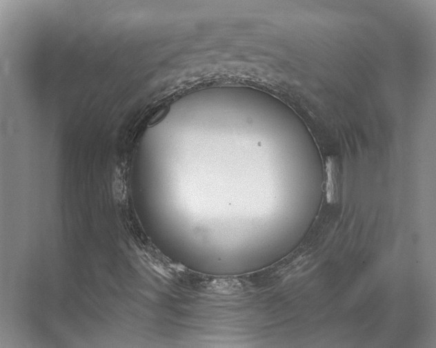 X0000073401491200608040913