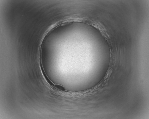 X0000073400003200608111311