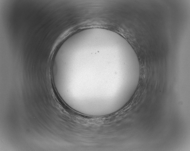X0000073400004200608111311