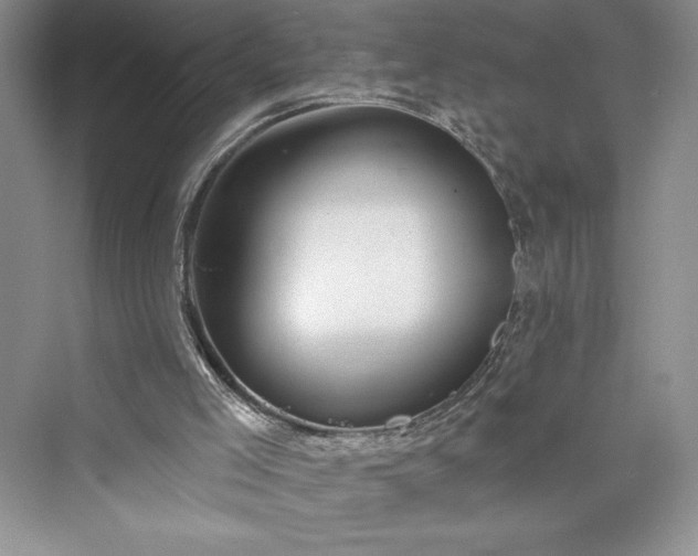 X0000073400005200608111311