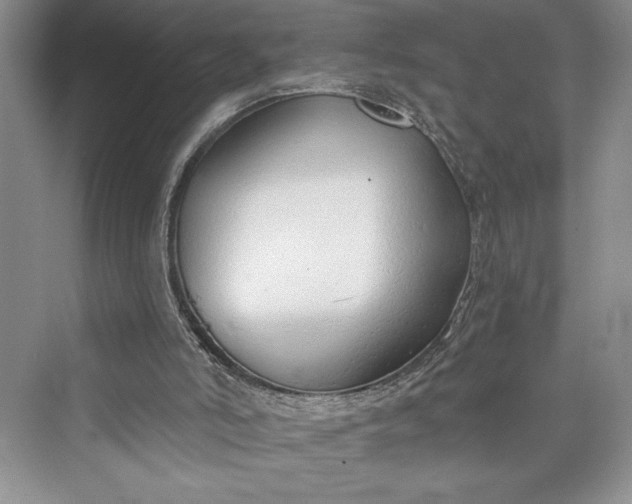 X0000073400006200608111311
