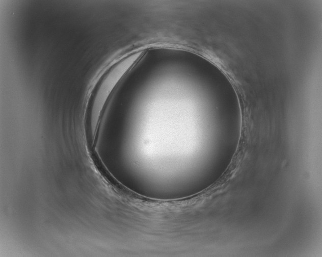 X0000073400007200608111311