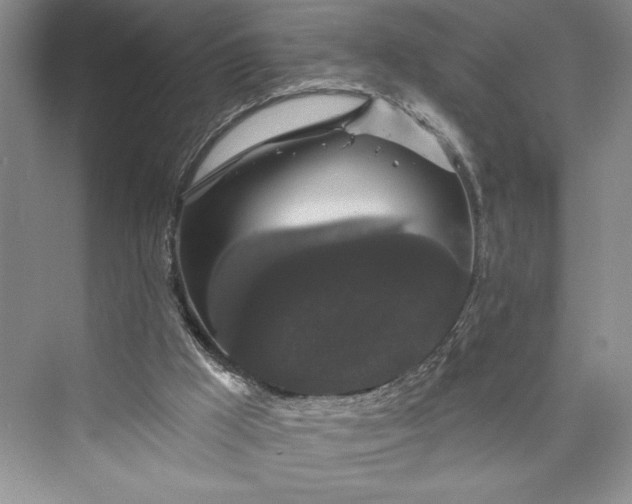 X0000073400009200608111311