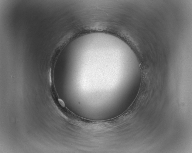 X0000073400020200608111311