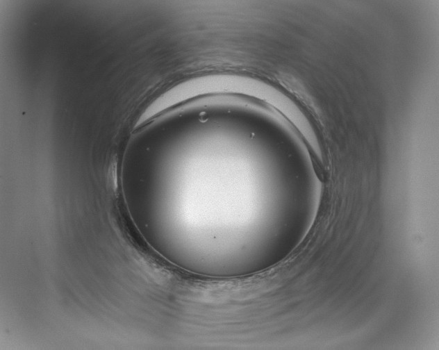 X0000073400021200608111311