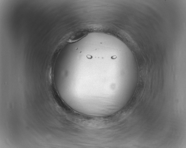 X0000073400024200608111311