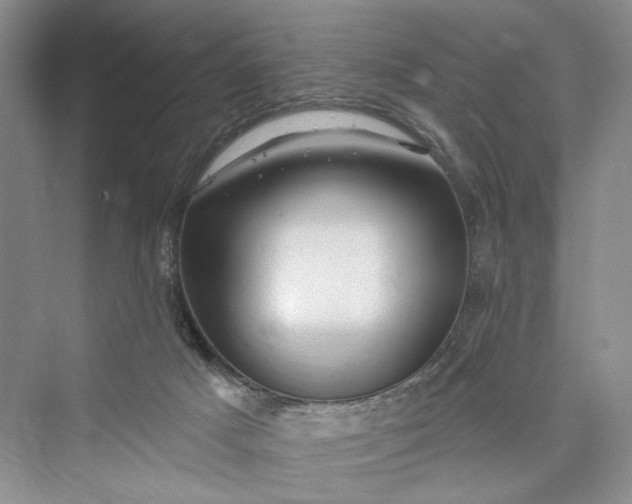 X0000073400025200608111311
