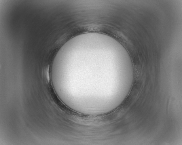X0000073400028200608111311