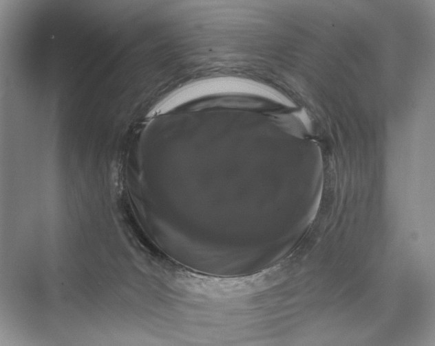 X0000073400031200608111310