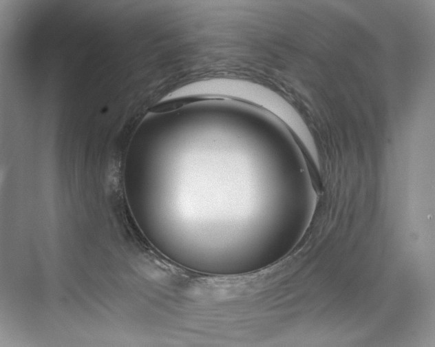 X0000073400033200608111310