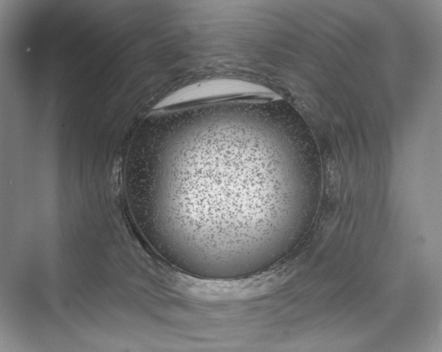X0000073400034200608111310
