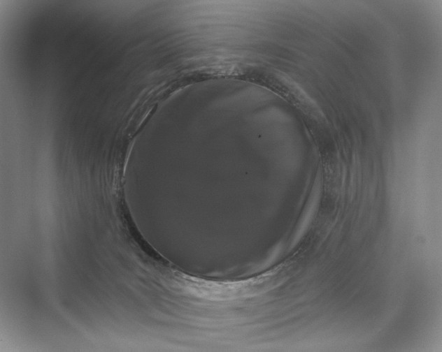 X0000073400035200608111310