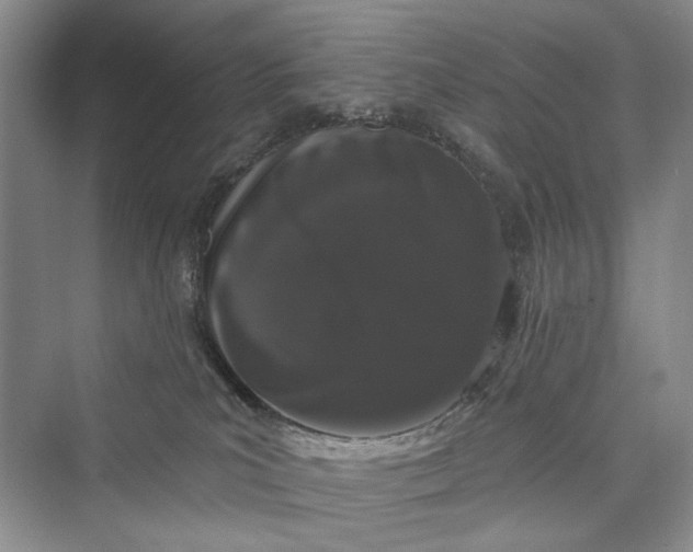 X0000073400039200608111310