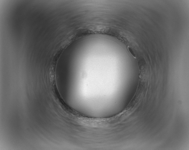 X0000073400040200608111310