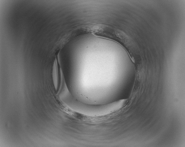 X0000073400041200608111310