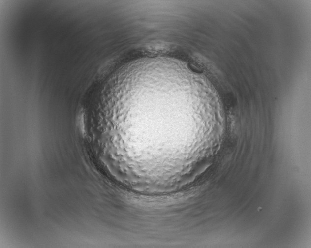 X0000073400042200608111310