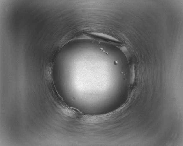 X0000073400045200608111310