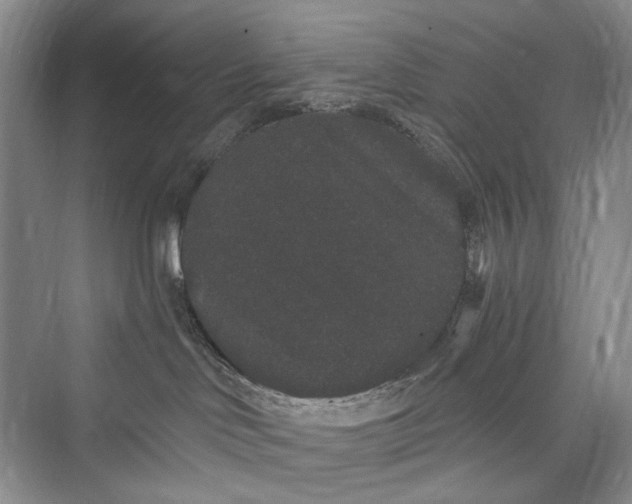 X0000073400046200608111310