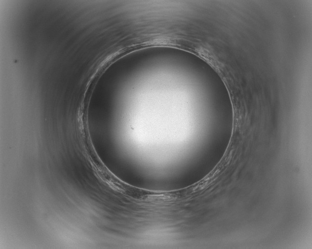 X0000073400050200608111309