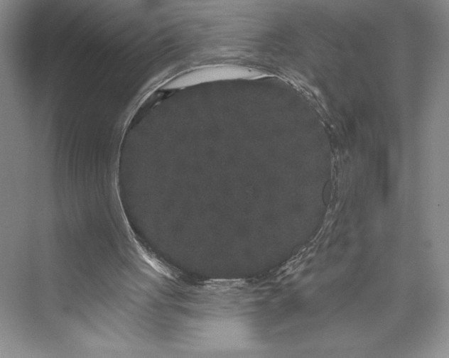 X0000073400051200608111309