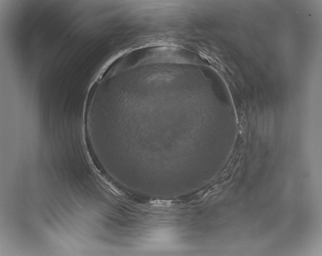 X0000073400052200608111309