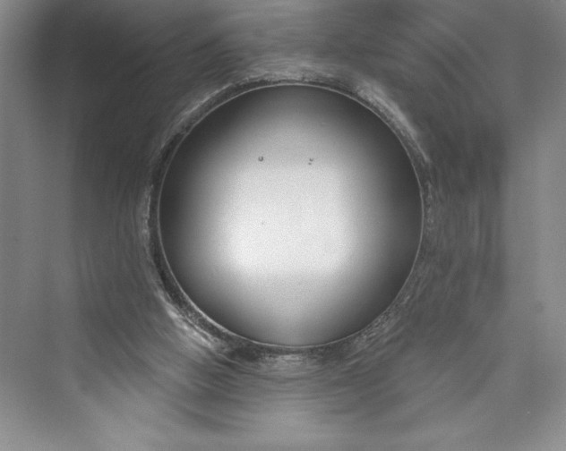 X0000073400058200608111310