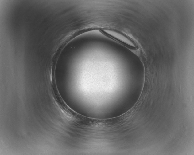 X0000073400062200608111310