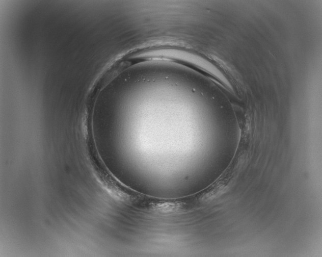 X0000073400064200608111310