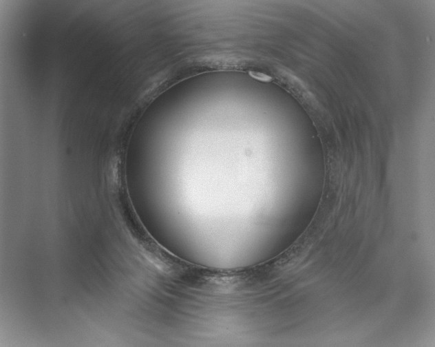X0000073400071200608111310