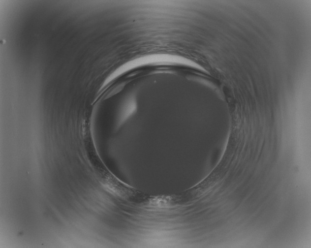 X0000073400080200608111310