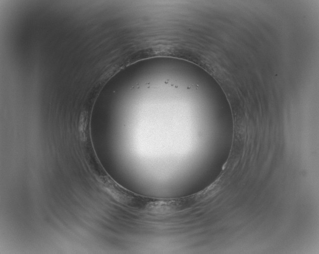 X0000073400082200608111310