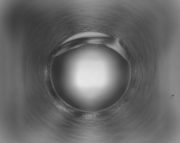 X0000073400084200608111310