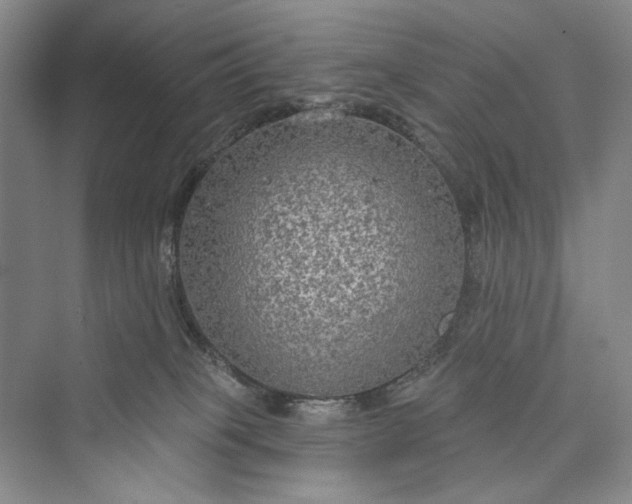 X0000073400085200608111310