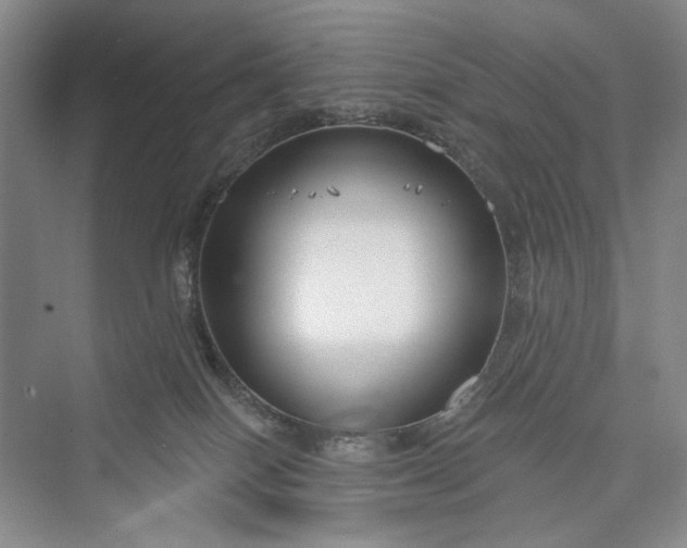 X0000073400086200608111310