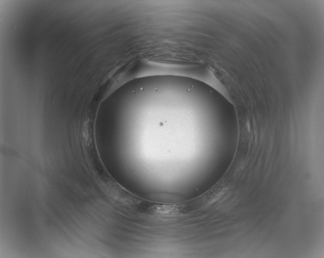 X0000073400088200608111310