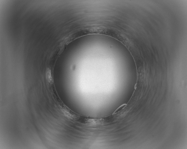 X0000073400089200608111310