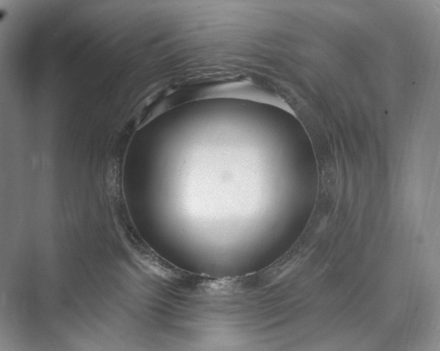 X0000073400092200608111310