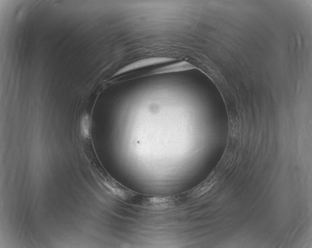 X0000073400095200608111310