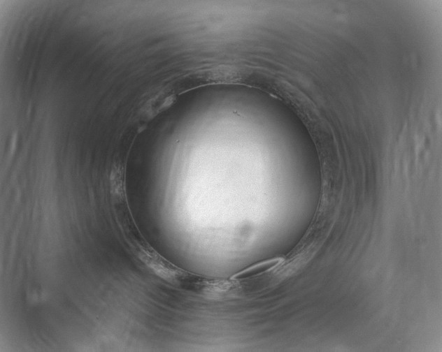 X0000073400096200608111310