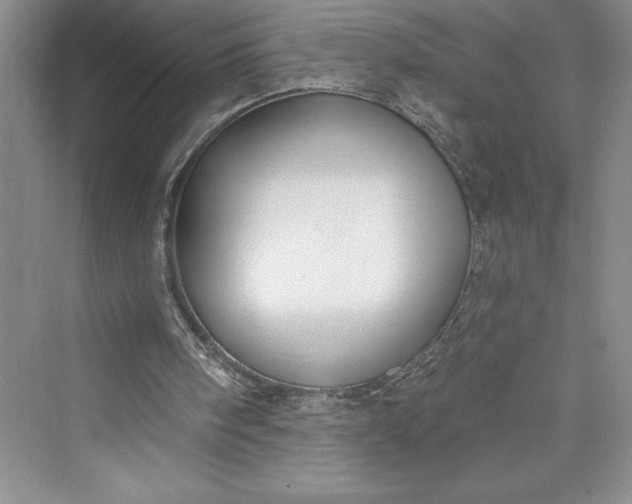 X0000073400098200608111309