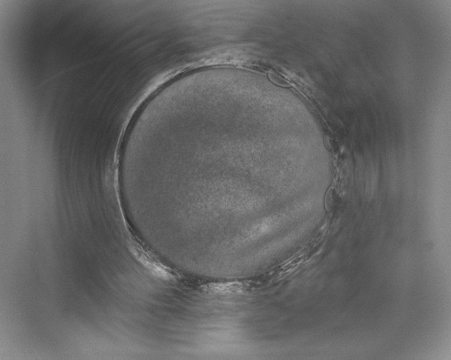 X0000073400100200608111309